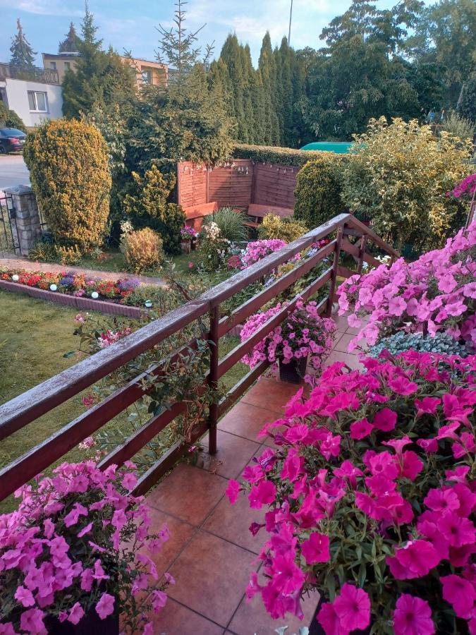 Apartment Loft Zulawy, Na Wylacznosc Nowy Dwor Gdanski